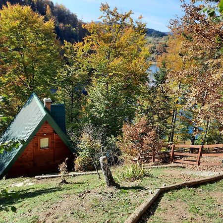 Vikendica Breza Villa Zaovine Bagian luar foto