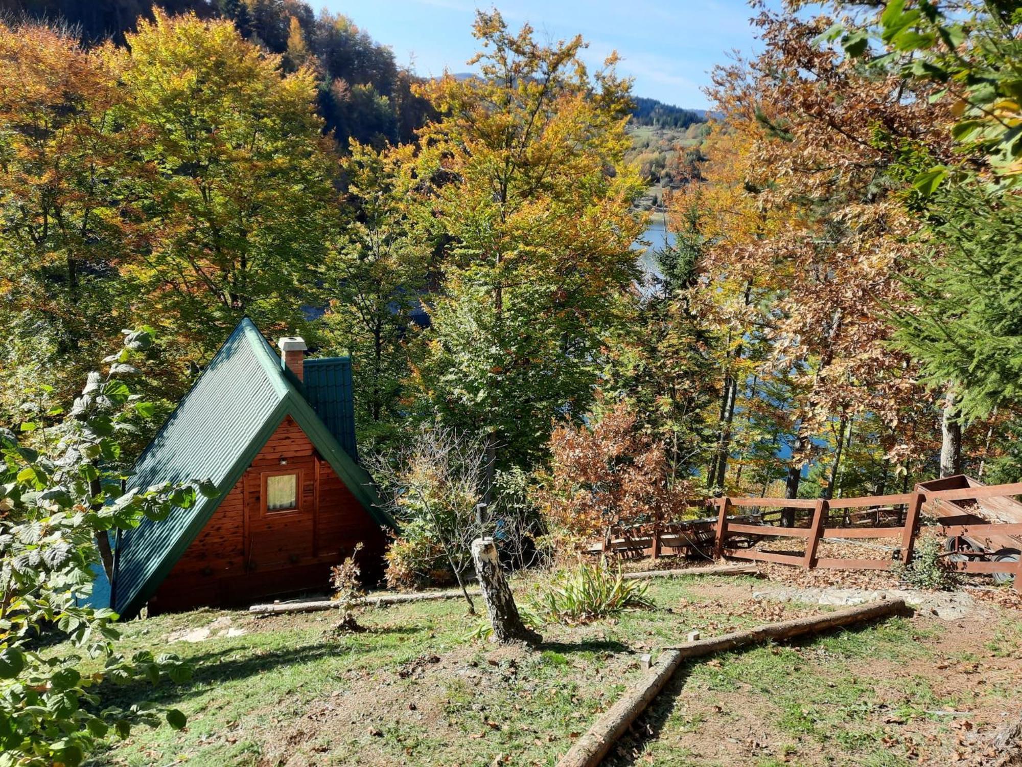 Vikendica Breza Villa Zaovine Bagian luar foto